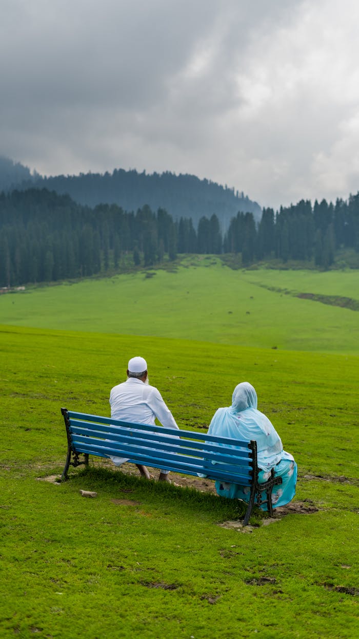 Two people enjoying a peaceful view on a bench in lush green fields of Srinagar.